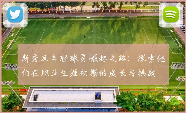 新秀及年轻球员崛起之路：探索他们在职业生涯初期的成长与挑战
