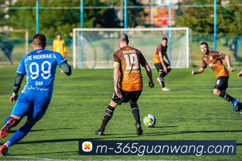 365官网平台生态图